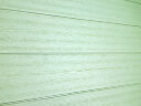 Фасадная панель из ДПК Коллекция Palma фисташка